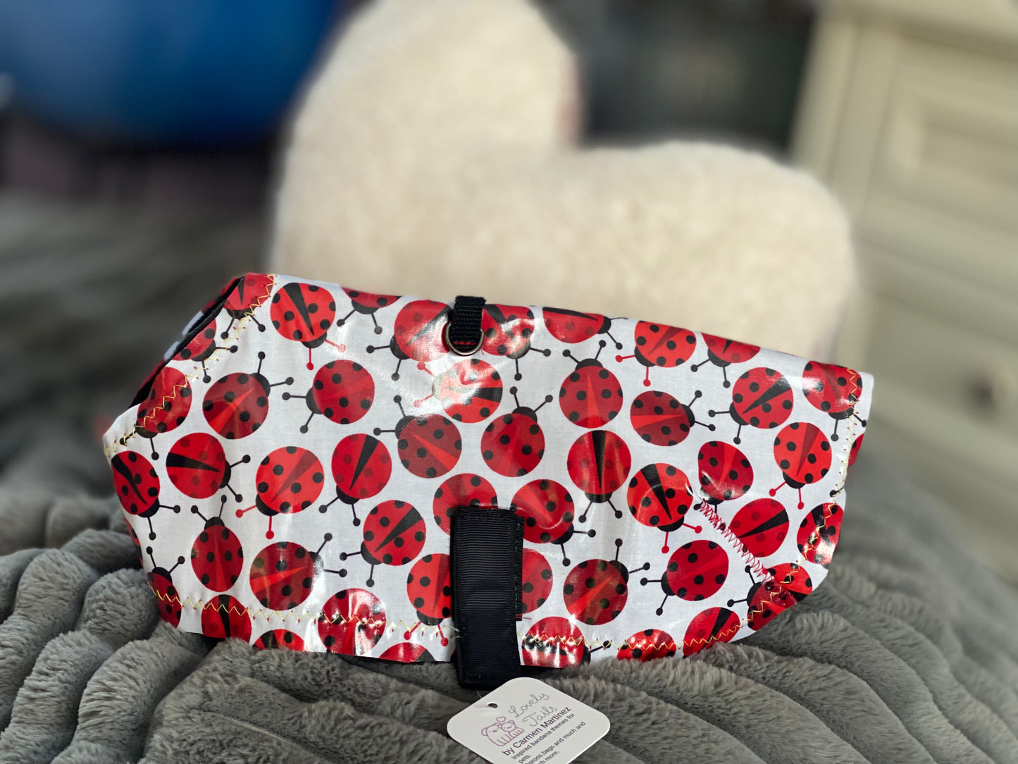 Lady Bug Pet Raincoat
