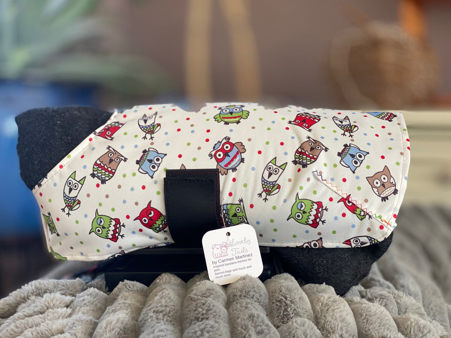 Owl Pet Raincoat