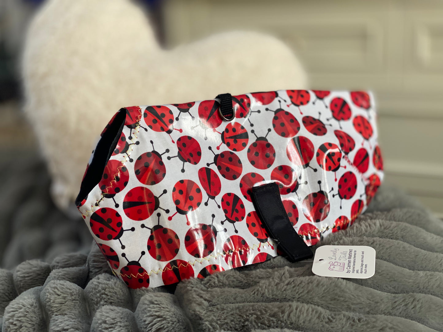 Lady Bug Pet Raincoat